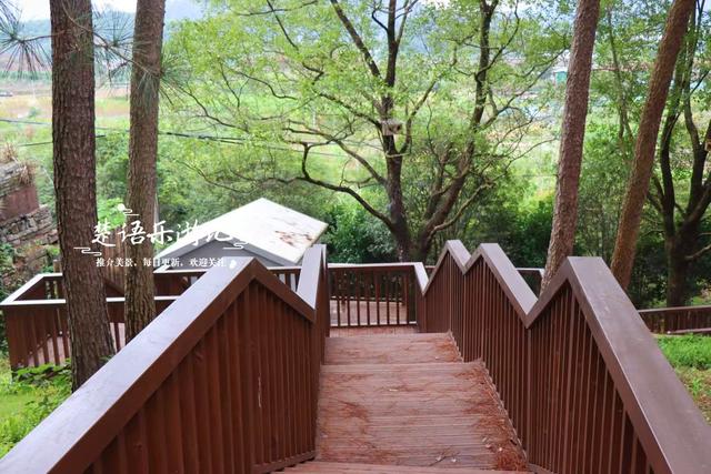 宁波海曙新打造了一个松林公园，小巧清幽却很适合休闲，值得一游