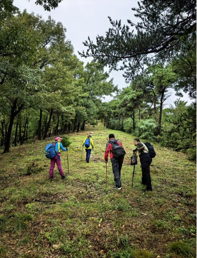 驴行信记：再攀“磨山顶”