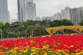 男人过了50岁，做到如下八点，才算是活通透了图片
