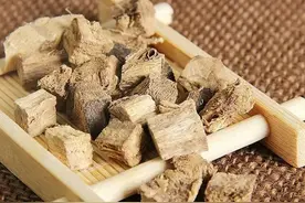 师法经典 妙用葛根图片