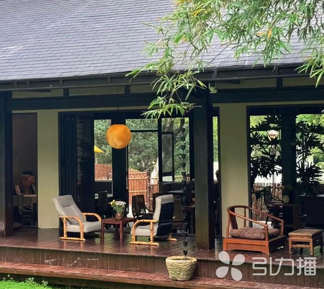 这个项目暂歇升级！不过，大阳山还有这些秋日浪漫→