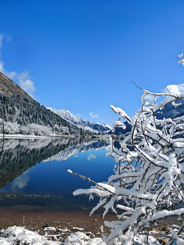奶子沟+达古冰川，美的不可方物