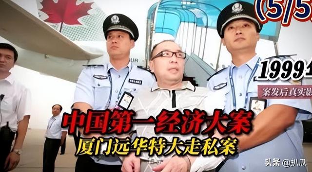 善恶终有报	，54岁不婚不育的杨钰莹，原来早已经上了另一条道路