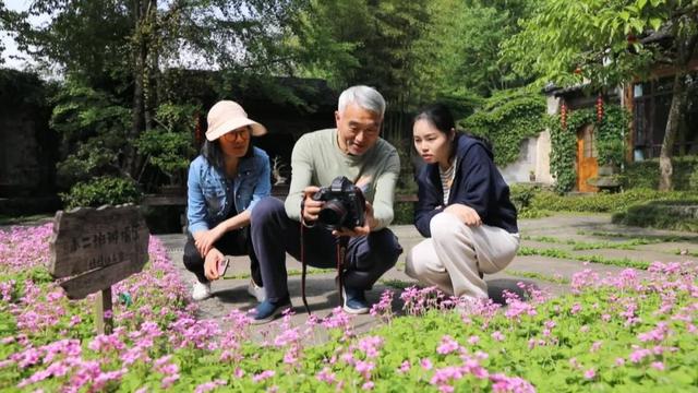 来黟县，把生活调成“康养模式” | 超级皖黄山市争霸赛等你来战
