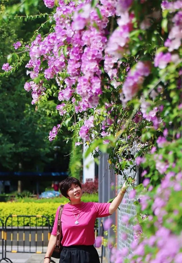 快去拍！柳州的冬天像是倒放的春天