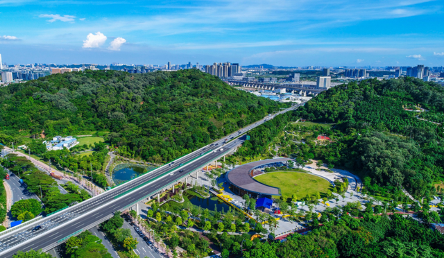 降温啦！佛山这几处免费公园邀你开启惬意“森”呼吸之旅