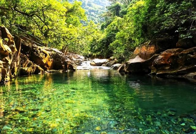 免票、打折……肇庆超多福利来袭！速看→