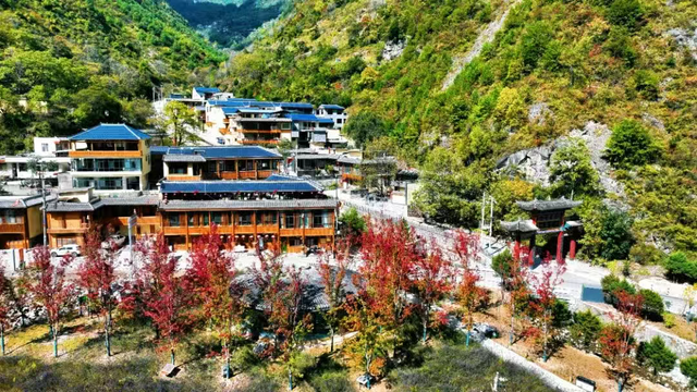 秋染武都！这份藏满彩林与烟火的深秋图鉴，你解锁了几张？