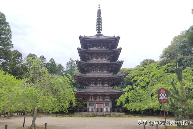 日本京都：走进醍醐寺