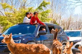 “五一”假期济南文旅市场“全面开花”！30家景区共接客393.27万人次，实现营收1.30亿元图片