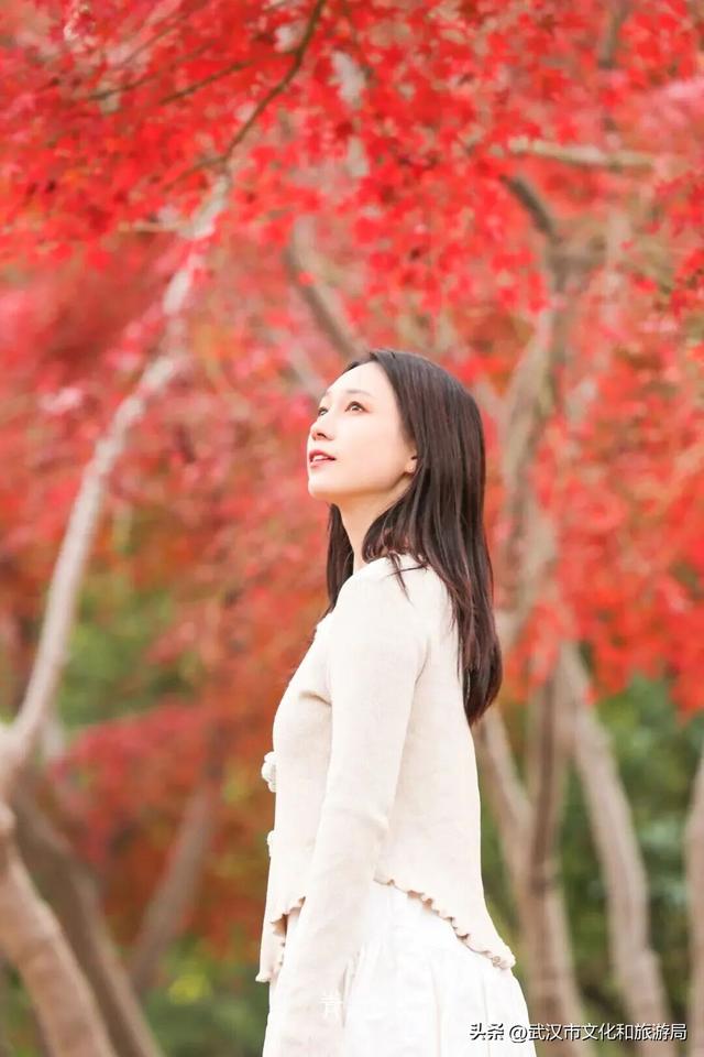 大降温后，青山最美冬景即将上线！