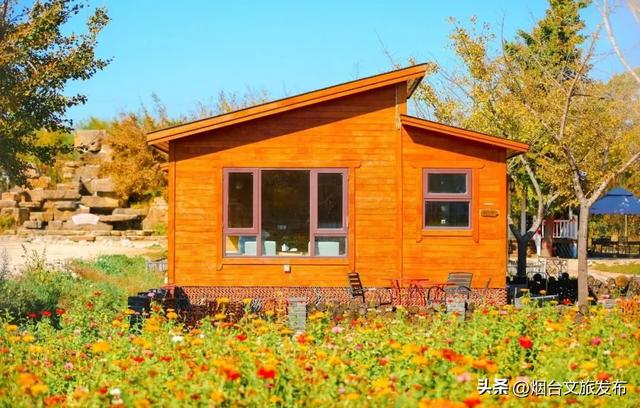 【乐游烟台】一眼惊艳！烟台这座小城最近太火了