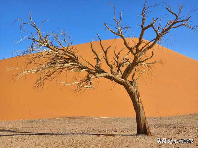 北京出发 26天香草三岛＋非洲南部 漫游8国自然奇观的深度猎奇之旅