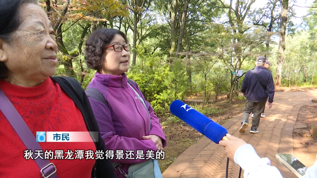 春城的秋天是什么颜色？来黑龙潭，给你一片火红的答案