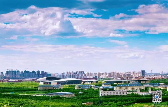 在天津津南，看见中国城市的另一种可能