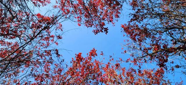 探秘长安石爷:第八尊石爷缺鼻子,递午村叫九村的原因实在意外