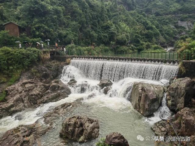温州这个免门票的小众隐世宝地你可去过？