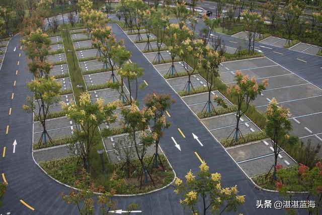 现在北京绿心公园的红叶红了没有？好看吗？从P6停车场咋去红叶道