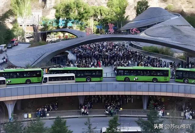 九寨沟强悍的调度操作火了！4万人塞进“沟”里，居然不堵车？