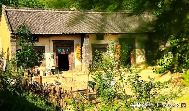 周末避暑好去处|走进绿意森呼吸,邂逅山间清凉