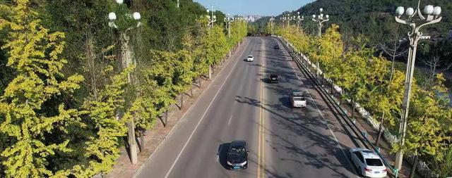 凯里版“黄金大道”将迎来观赏佳期 您的相机准备好了吗