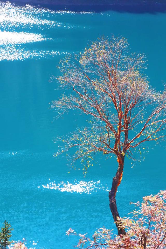 她们说九寨沟烤肠好吃我就来了！