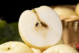 建议了解：不同的梨功效相同吗？润肺止咳煮梨水，选哪种梨？图片