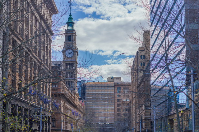 今年冬天，我想去这里过夏天