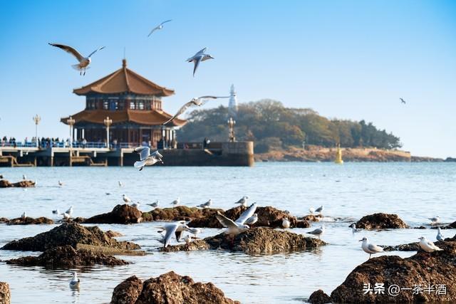 自驾攻略：山东沿海全线轻松自驾游线路，含景点-美食-免费营地