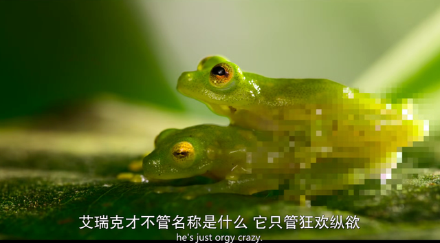 内娱男星讲荤段子，居然拿下豆瓣8.9