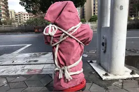 为什么国内死刑犯执行时要用绳子五花大绑？图片