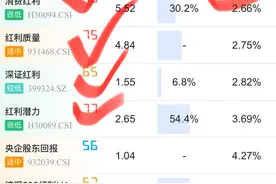 四只最为特别的红利指数图片