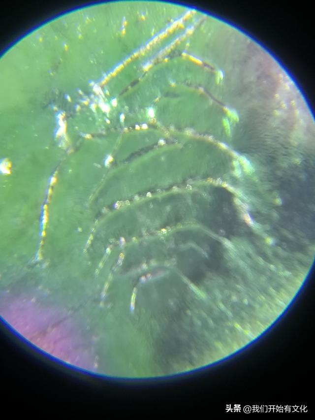 古玩市场上统称“水晶”或“琉璃”的各种玻璃陨石的初步材质分析