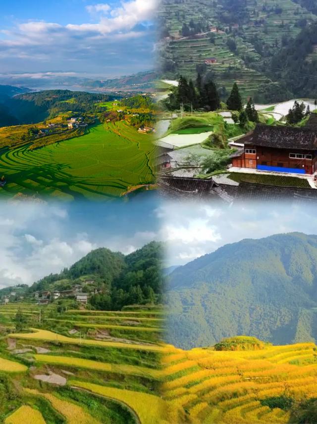探秘雷山梯田｜这份秋色限定攻略请收好！