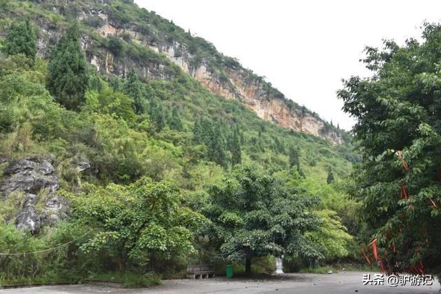 红崖天书，黄果树旁边的免费小众景点，千百年来身世成谜！