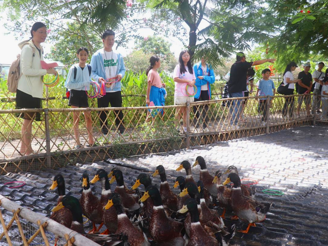 相约周末，寻找你的快乐“柠”感！