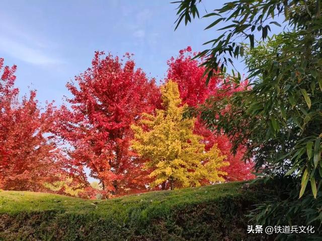 崔纪松诗歌：不负时光(外七首)