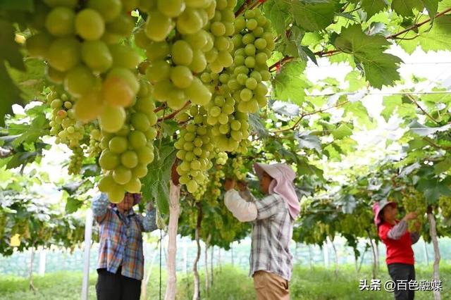 盛会带路 趣游百色丨来田林，做一回“山水闲人”