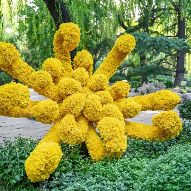 走，去趵突泉！收集秋天最靓的九宫格～