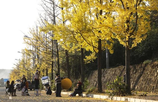 玩转贵安丨贵安初冬限定美景，给你“好看”！