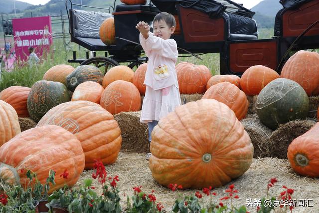 中国乐谷音乐市集开市 17 万㎡草原免费玩