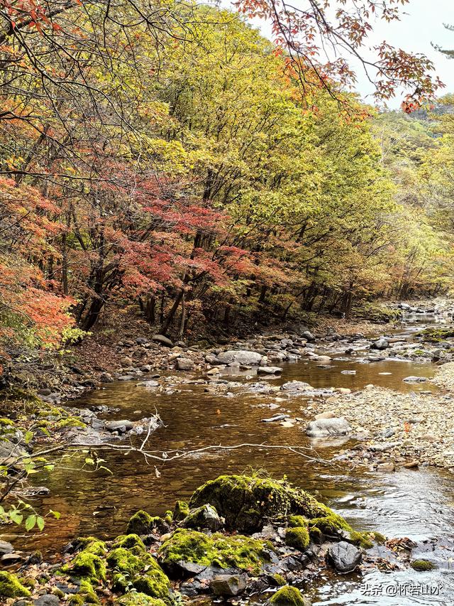 2025辽宁赏秋之旅日记(2)——游览丹东蒲石河森林公园