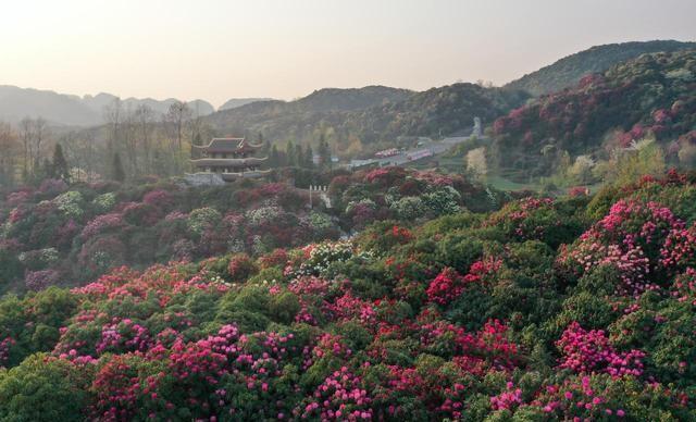 3-4月春游宝地，这6个地方，风景繁密，适合踏春