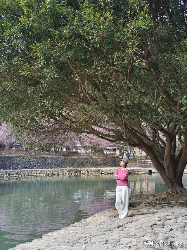 土楼拾光③:梅林古镇(2025.2.11 漳州·南靖)