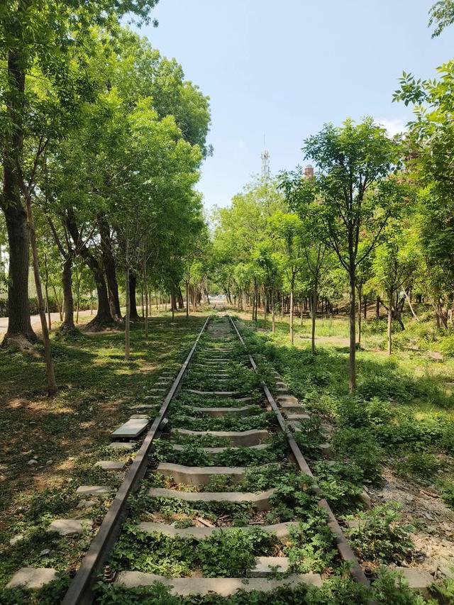 天津《复兴河公园》