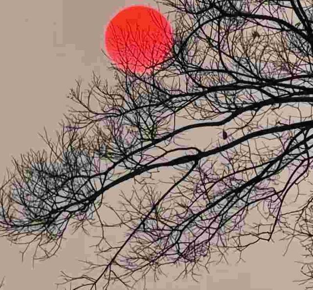 我是扬州人，在河南待了一周，山陕甘会馆等5点反差感想说。