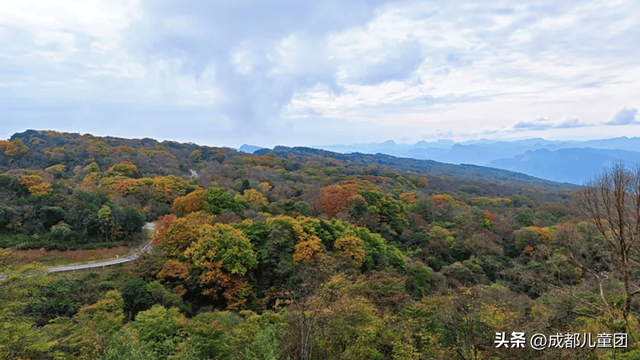 成都不远！这三个地方的红叶，美得很超过！