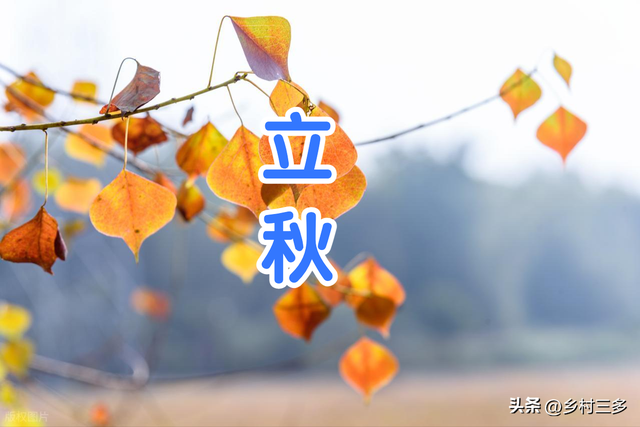 “立秋逢单胜似冬，立秋逢双秋老虎”，2025年立秋逢单还是逢双？