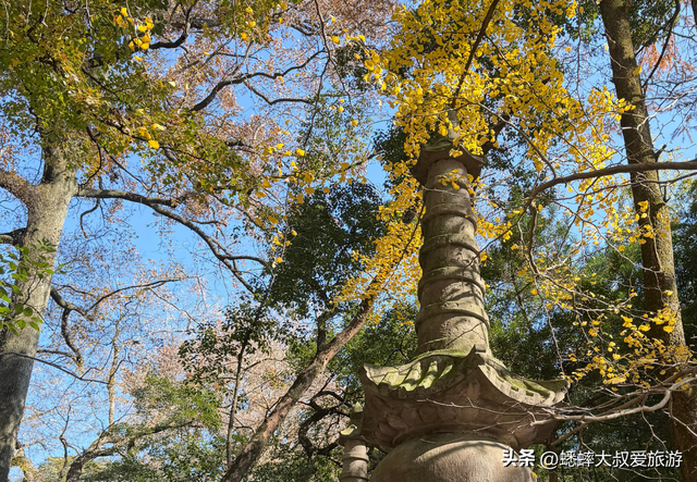 与灵隐寺“同龄”的千年古刹，秋冬不但色彩斑斓，更具古雅与佛韵