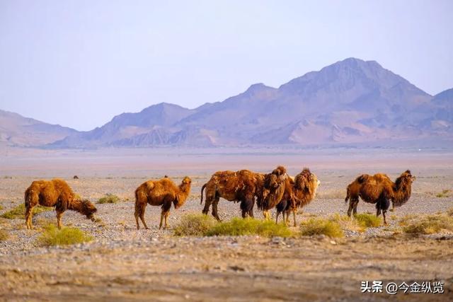 面积堪比海南却仅1万人！甘肃这座"废墟秘境"，美到让人不敢呼吸